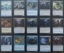 Araumi of the Dead Tide - Multiplayer EDH Deck (Custom 100 Card Commander Deck)